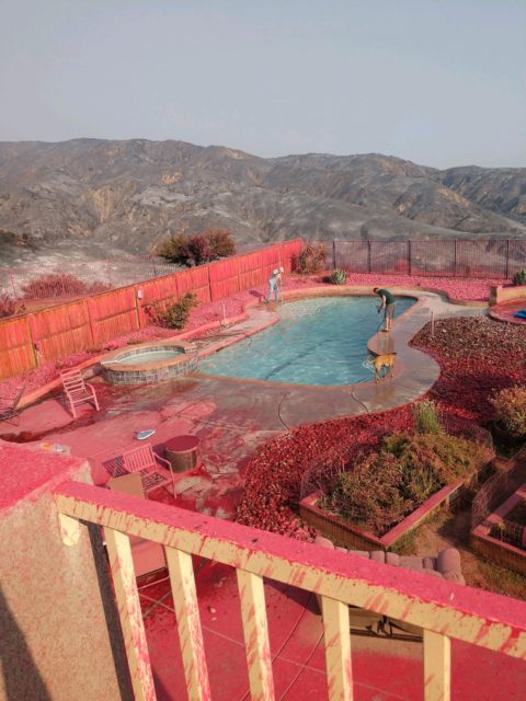 pink pool 7