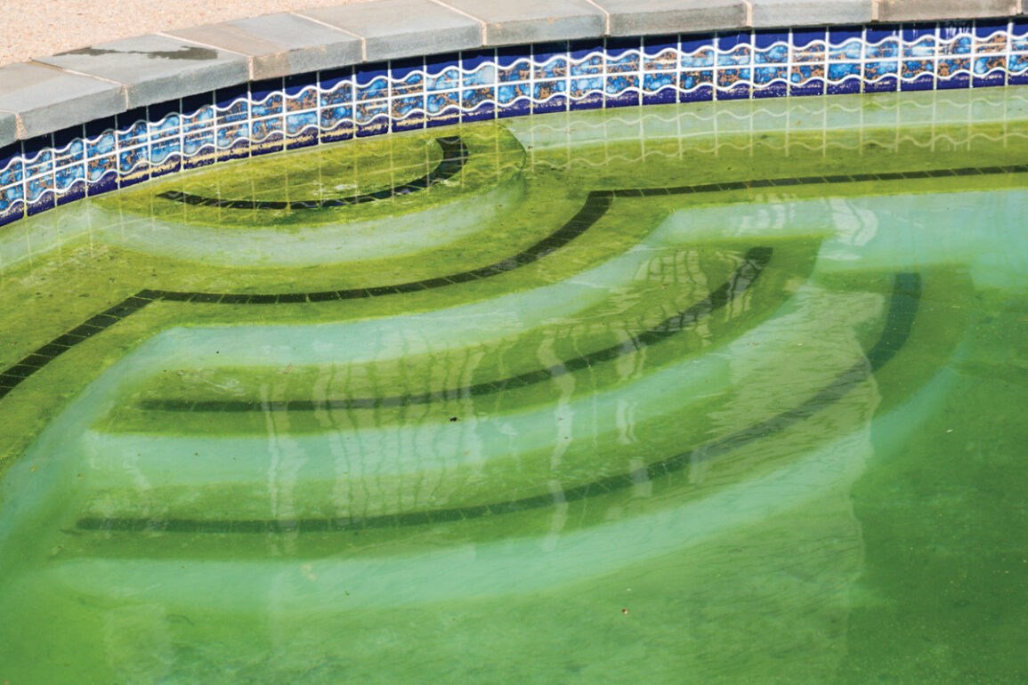 Algae Attack PoolPro