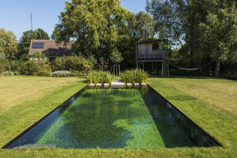 Trending: Natural Pools—renewed interest and growth