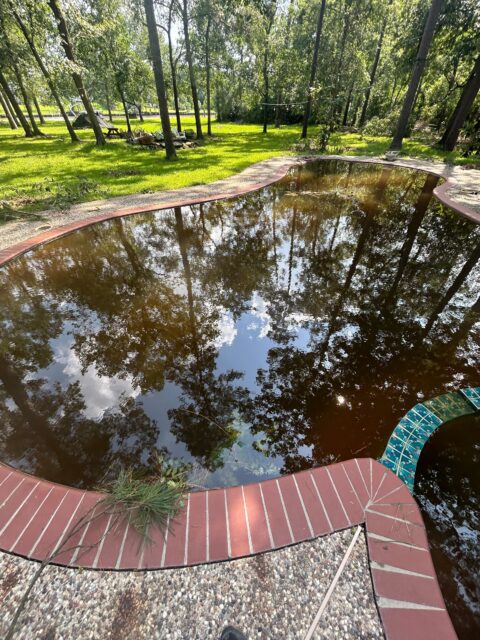 Murky Waters 4 murky pool admiral 480x640 1