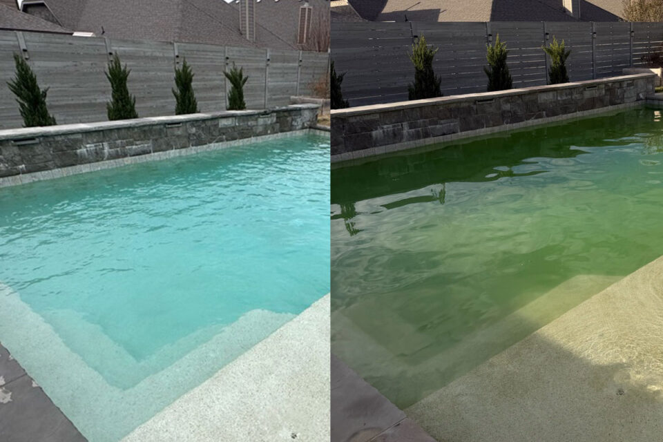 green-to-clean service packages - Simplified Pools photo